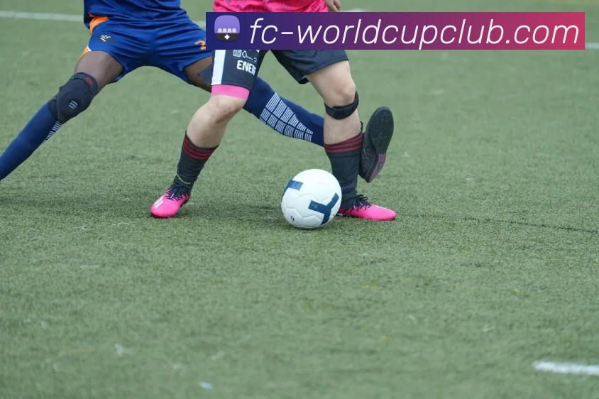 世界杯官方投注平台生态图